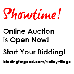 Online Auction Open May 24 - June 7